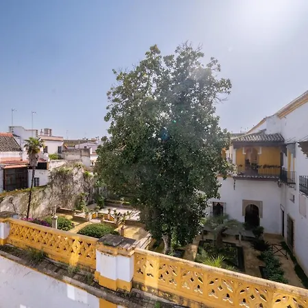 Luxurious Duplex 2bd 2bth Over Casa Pilatos 公寓 塞维利亚